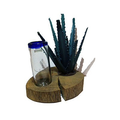 Agave Mini Con Tequilero